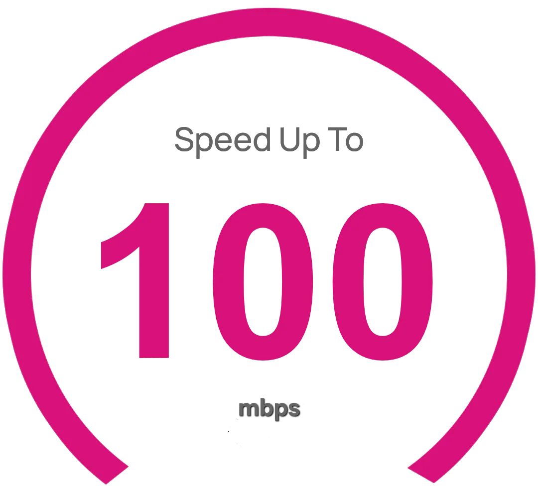 HiFi Standart 100 Mbps
